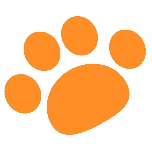 cute dog and footprint orange 1